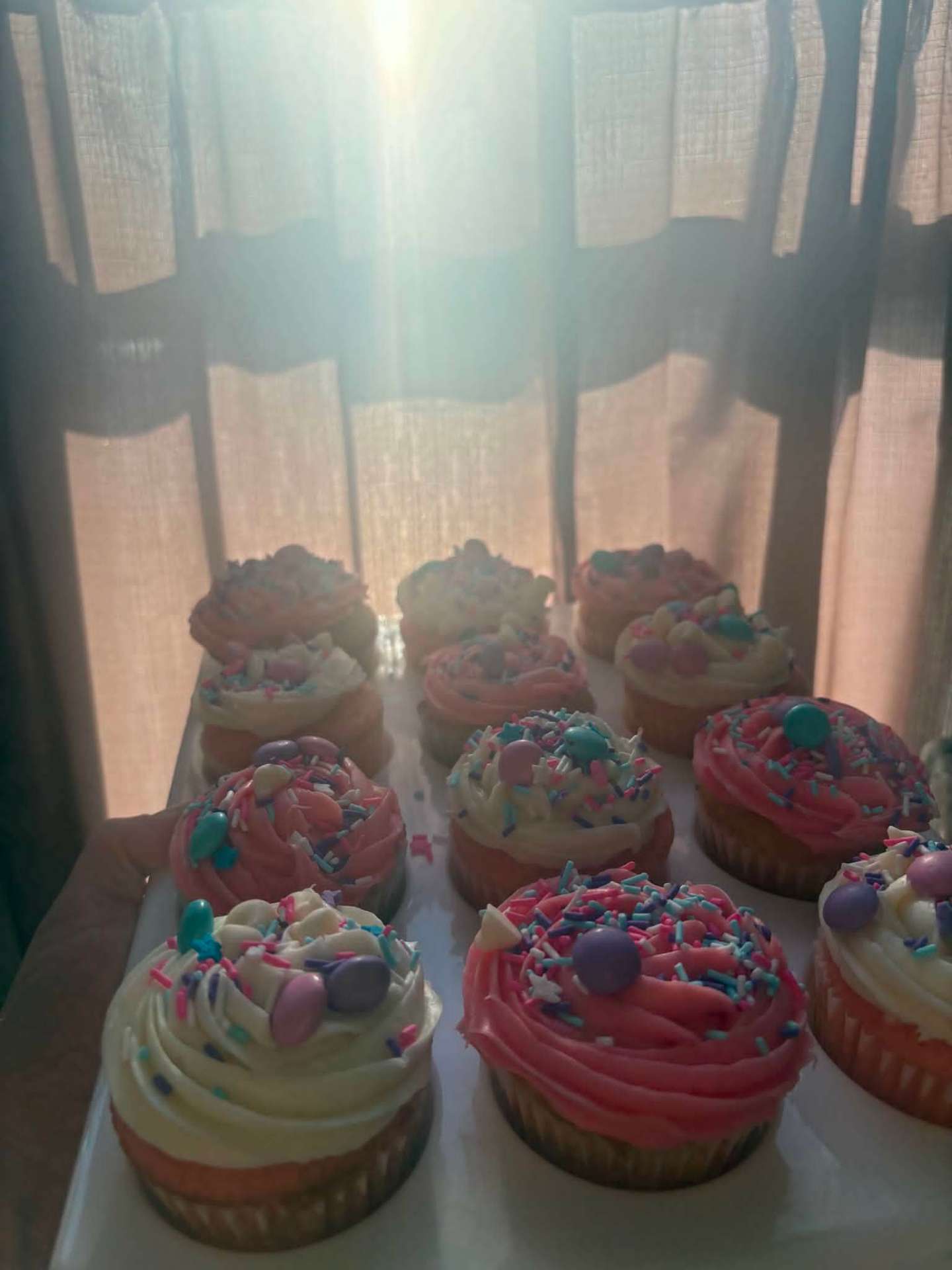 Pastel cupcakes backlit by a sunlit window