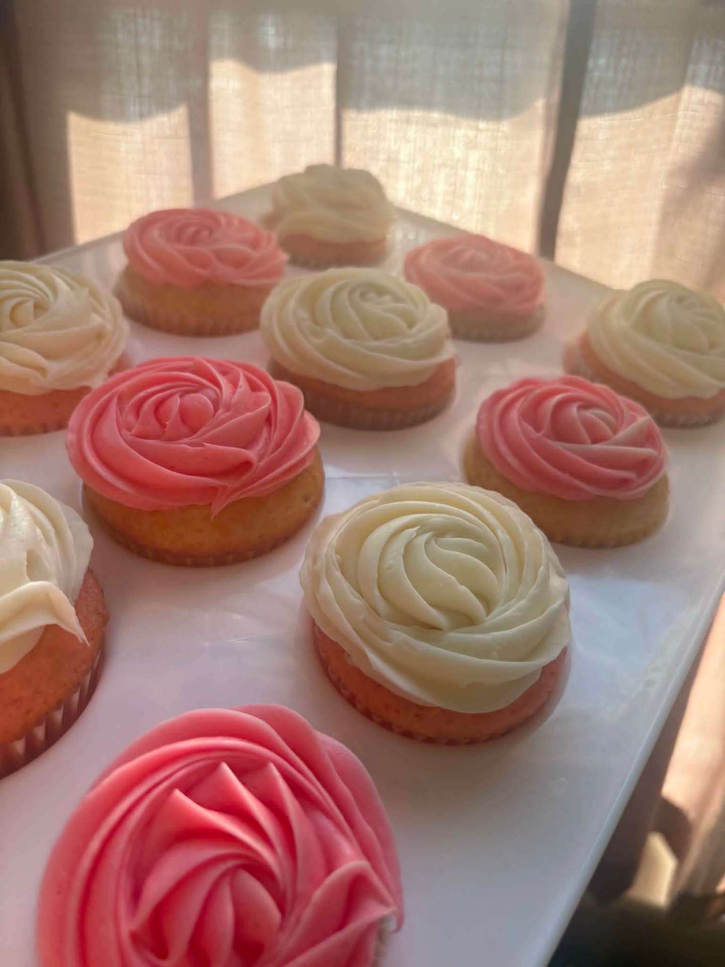 Pink and vanilla rosette buttercream cupcakes